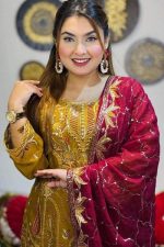 প্রিমিয়াম কোয়ালিটির ইন্ডিয়ান জর্জেটের  পার্টি কালেকশন