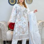 প্রিমিয়াম কোয়ালিটির ইন্ডিয়ান জর্জেটের  পার্টি কালেকশন